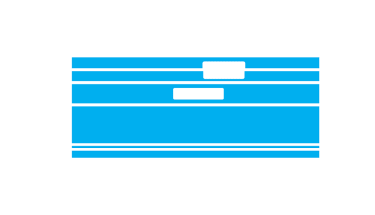 Nikon AF-S DX 55-300mm F 4.5-5.6G ED Skin Template Vector